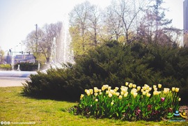 Wiosna w Lesznie w naszym obiektywie (photo)