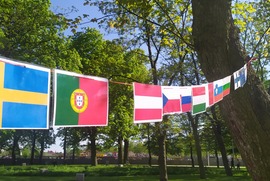 Zdjęcie przedstawia rozwieszone pomiędzy drzewami flagi Unii Europejskiej (photo)