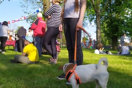 Zdjęcie przedstawia dziewczynkę trzymającą na smyczy psa. W tle widać innych ludzi, uczestników Dnia Europy. (photo)