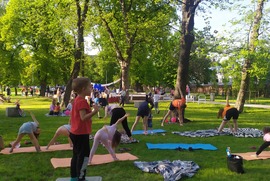 Zdjęcie przedstawia ludzi ćwiczących jogę na matach.  (photo)