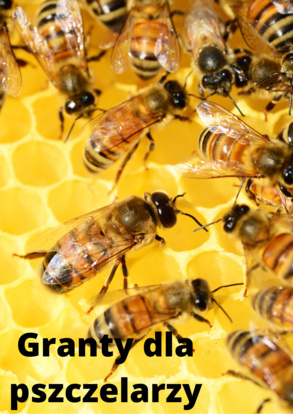 Granty dla pszczelarzy