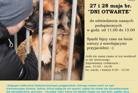 Zdjęcie przedstawia grafikę promującą Weekend z leszczyńskimi NGO i nie tylko (photo)