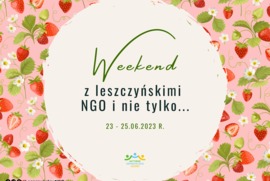 Zdjęcie przedstawia grafikę do Weekendu z NGO i nie tylko (photo)