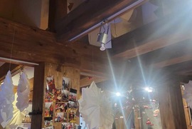  (photo)