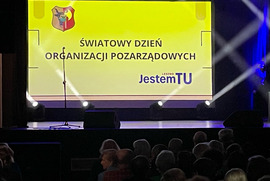 Najlepsza Inicjatywa Pozarządowa 2024 roku (photo)