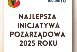 Najlepsza Inicjatywa Pozarządowa 2025 roku (photo)