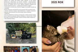 Najlepsza Inicjatywa Pozarządowa 2025 roku (photo)