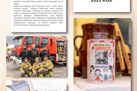 Najlepsza Inicjatywa Pozarządowa 2025 roku (photo)