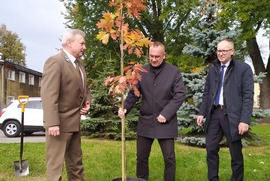 Zdjęcie przedstawia grupę osób przy sadzeniu drzewa. (photo)