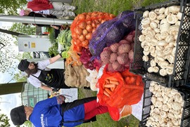 Zdjęcie przedstawia relację z pikniku Apetyt na Aktywność (photo)