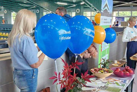 Leszczyńskie Targi Trzeciego Sektora Jestem TU i działam! (photo)