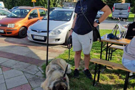 Leszczyńskie Targi Trzeciego Sektora Jestem TU i działam! (photo)