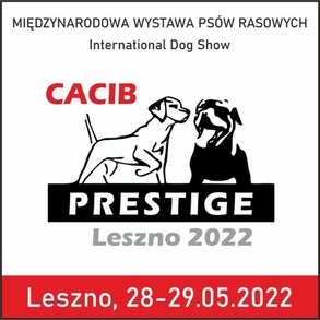 Międzynarodowa Wystawa Psów Rasowych Prestige