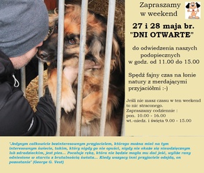 Dni otwarte w Schronisku