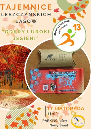 Tajemnice Leszczyńskich Lasów