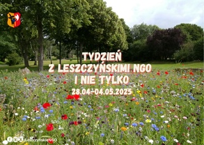 Tydzień z NGO i nie tylko