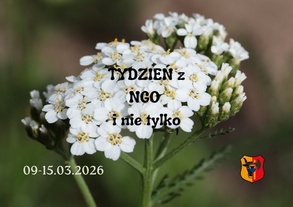 Tydzień z NGO i nie tylko
