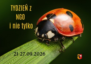 Tydzień z NGO i nie tylko