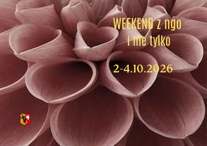Weekend z NGO i nie tylko