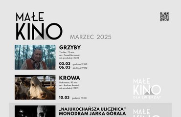 Małe Kino