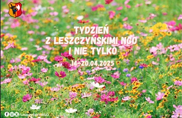 Tydzień z NGO i nie tylko