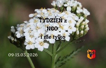 Tydzień z NGO i nie tylko