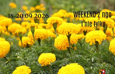 Weekend z NGO i nie tylko