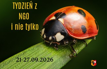 Tydzień z NGO i nie tylko